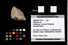 Foto (Objekt + Etikett) von Pithonoton sp.  (NHMW-GEO-1990-0041-3262b)